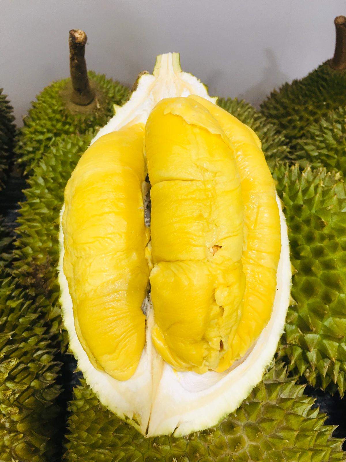 Savor’s best seller: the mao shan wang durian
